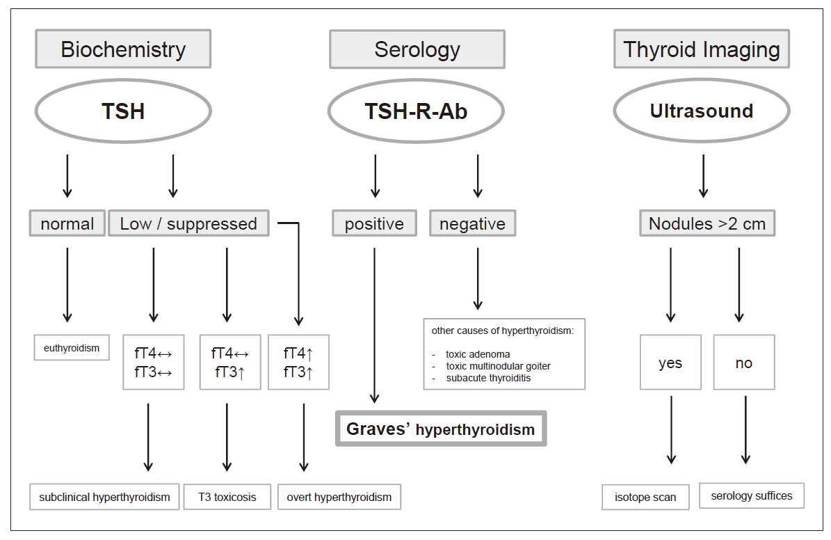 Graves病診斷流程[1]