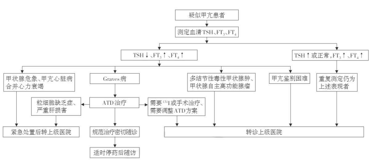 甲亢診斷流程