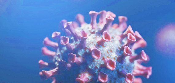 HBP高親和兔單抗，助力IVD備戰(zhàn)COVID-19重癥高峰