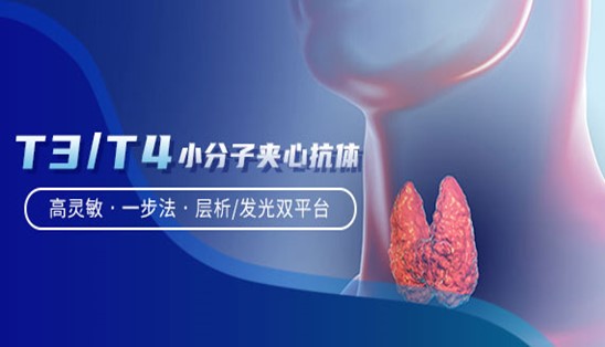 【小分子夾心法】甲功T3/T4，高靈敏&一步法
