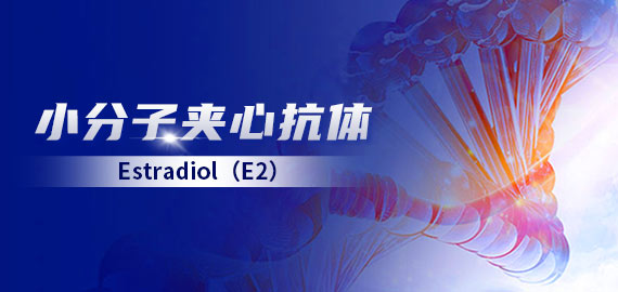 【小分子夾心】雌二醇（E2）夾心抗體在發(fā)光及層析平臺的應用