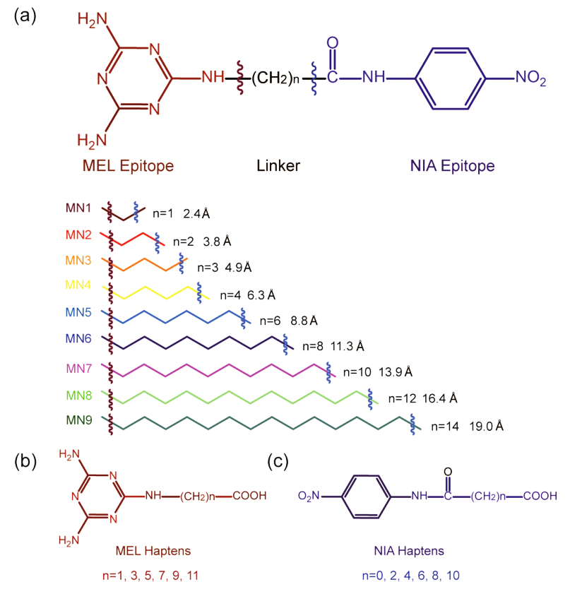 模型分析物和半抗原的化學(xué)結(jié)構(gòu)