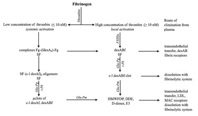 SF、凝塊和聚合纖維片段的形成、溶解及去除方式